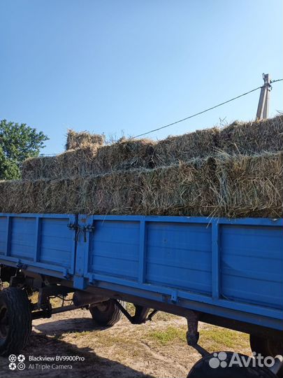 Сено в тюках 2024