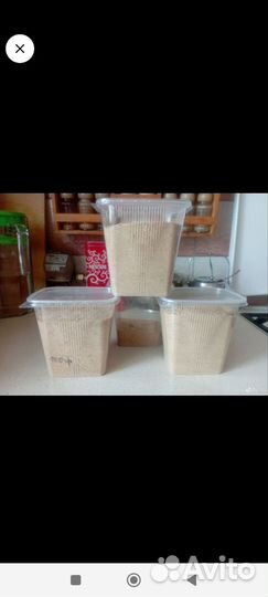 Грибы сушеные 2024г