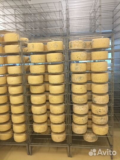 Технолог-сыровар