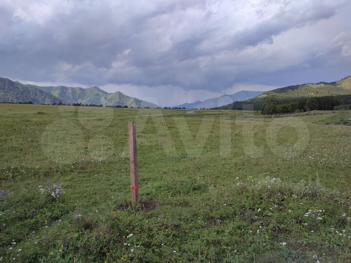 Участок 40 сот. (СНТ, ДНП)