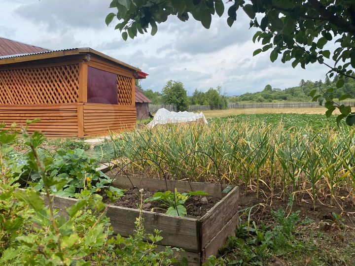 Дача 13,7 м² на участке 35 сот.