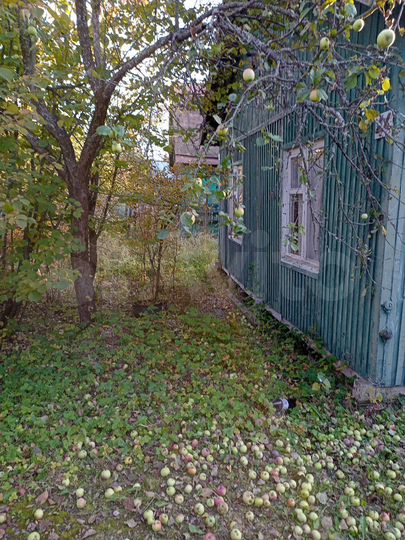 Дача 36 м² на участке 6 сот.