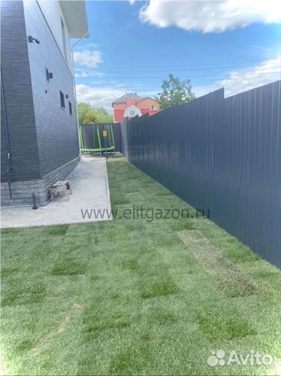 Рулонный газон/продажа/укладка