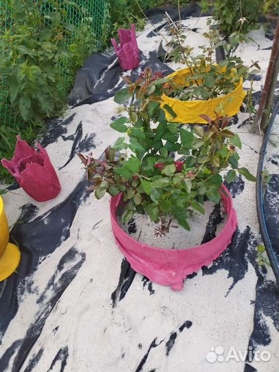 Ваза и бетонные кружочки для растений