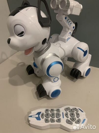 Робот собака на управлении