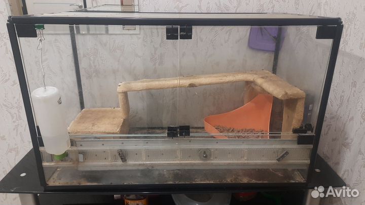 Продам террариум