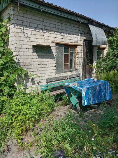 Дача 29,3 м² на участке 4 сот.