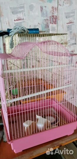 Клетка для птиц