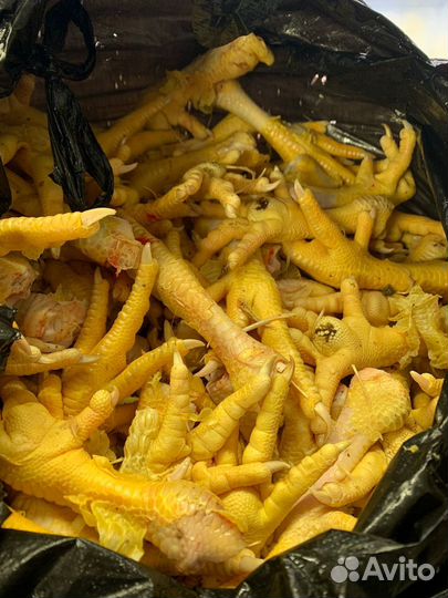 Домашние потроха курицы