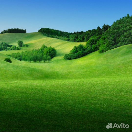 Левый и правый наушник аирподс разных поколений