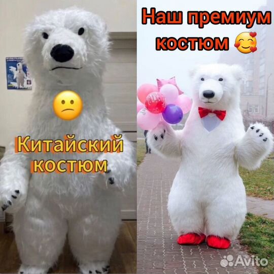 Поздравление белого медведя