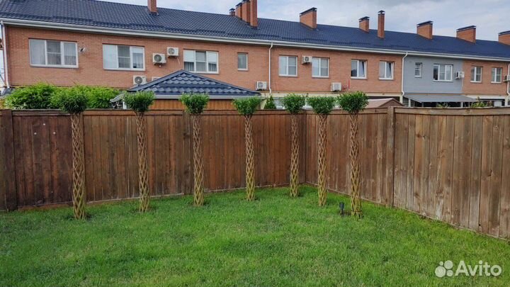 Русская пальма, плетёное дерево