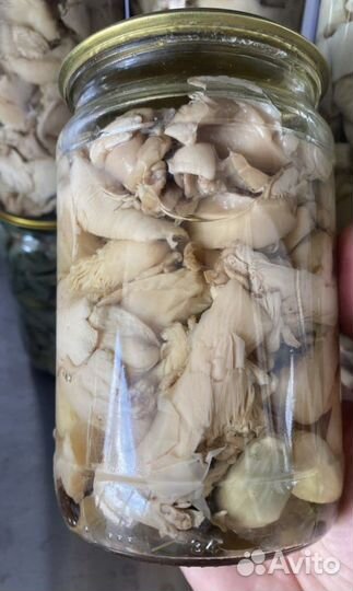 Грибы маринованные вешенки