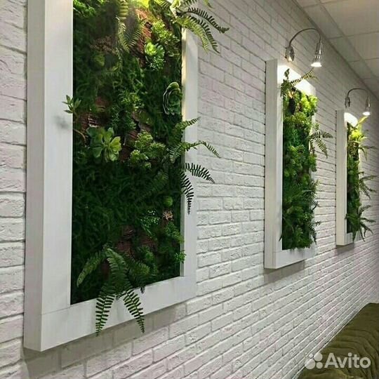 Фитопанно/Фитостена/Панно Искусственная зелень