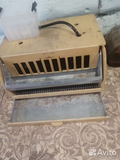 Перепелинная клетка