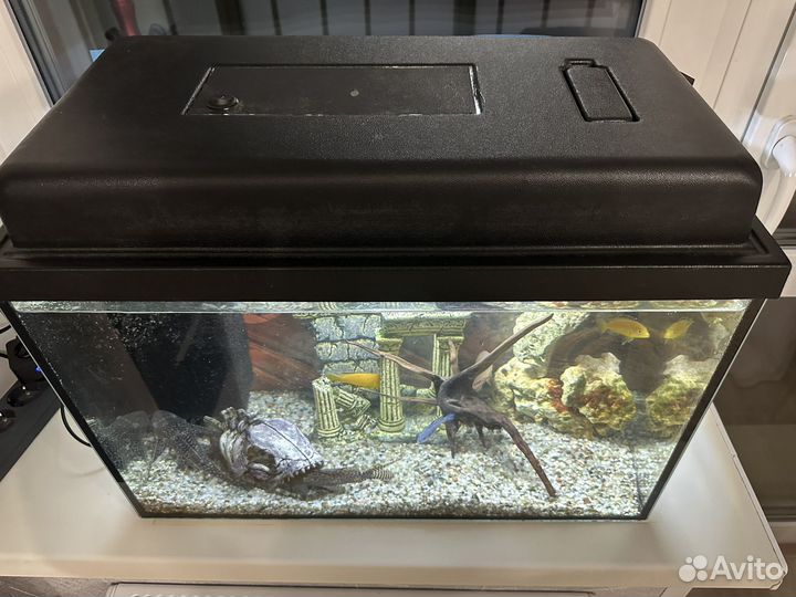Аквариум