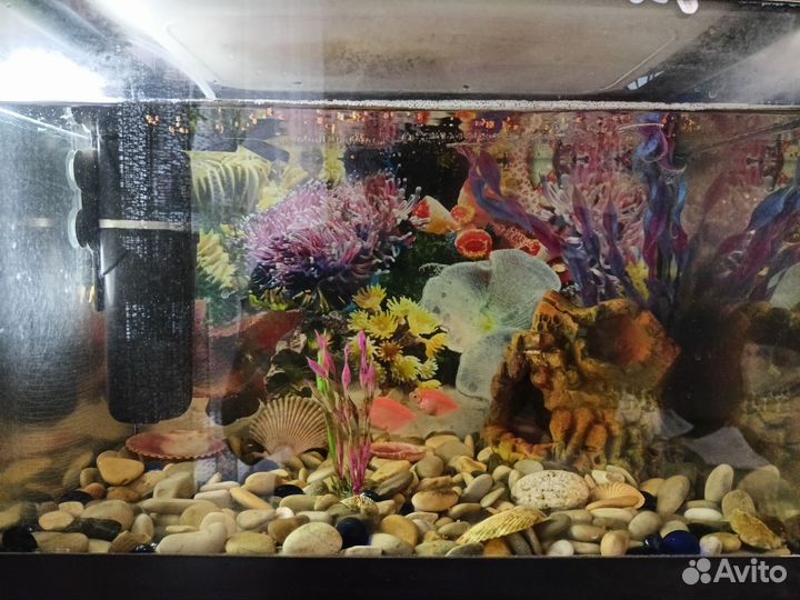 Аквариум