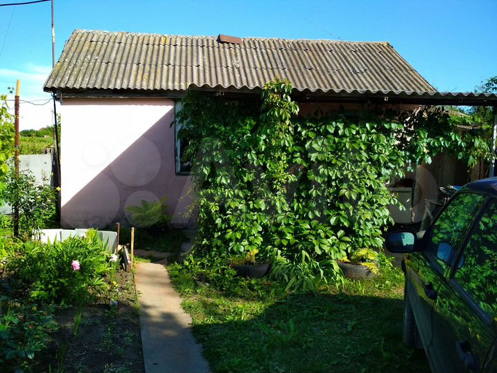 Дом 60 м² на участке 50 сот.