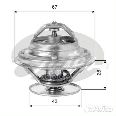 TH05586G1 gates Термостат TH05586G1 Gates