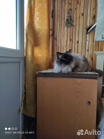 Швейная машинка