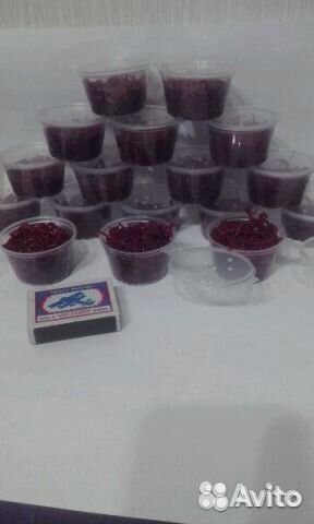 Черви рыболовные