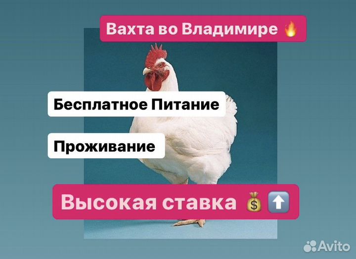 Разнорабочие вахтой.Оплата проезда