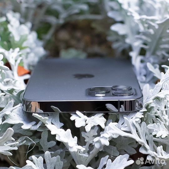 iPhone 12 Pro, 256 ГБ