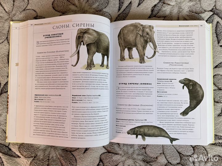 Новейшая энциклопедия животных