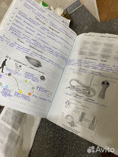 Материал для полготовки к егэ по биологии