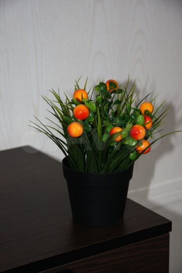 Комната 13 м² в 3-к., 3/5 эт.