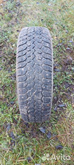 Amtel NordMaster 175/65 R14