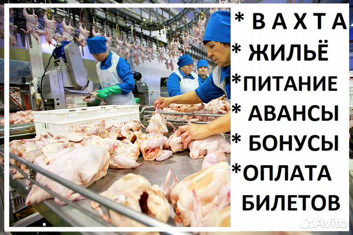 Упаковщик (комплектовщица) Вахта с проживанием