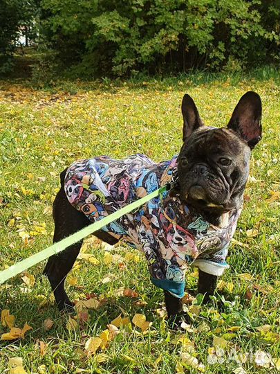 Вязка. (Развязан)