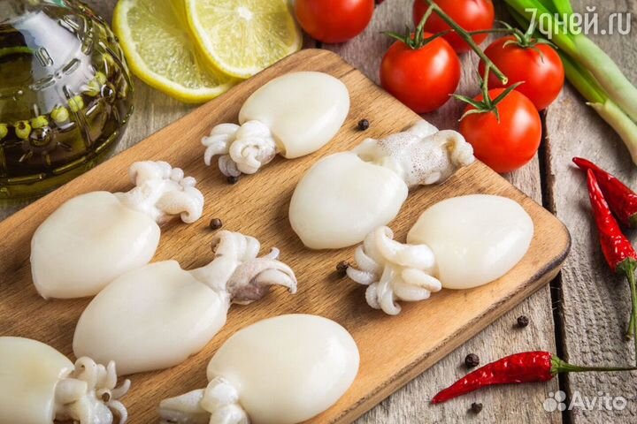 Каракатица морепродукты