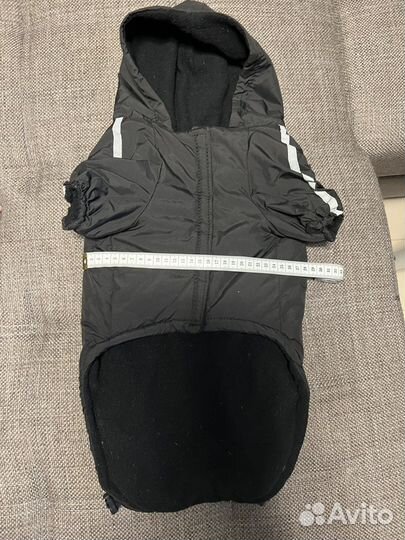 Одежда для собак