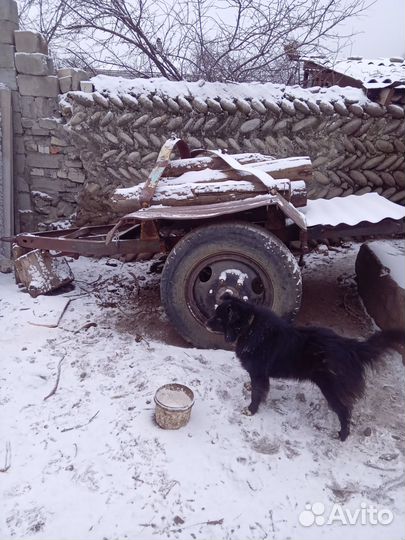 Прицеп легковой бу