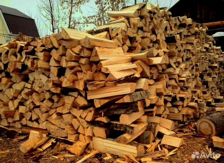 Дрова Береза