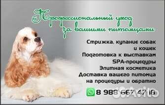 Стрижка собак и кошек