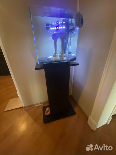 Итальянский аквариум newa more R 30