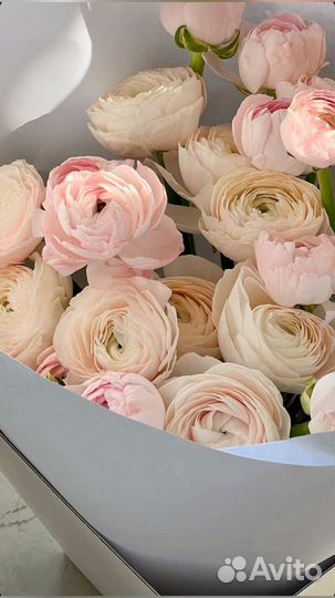 Ранункулюсы