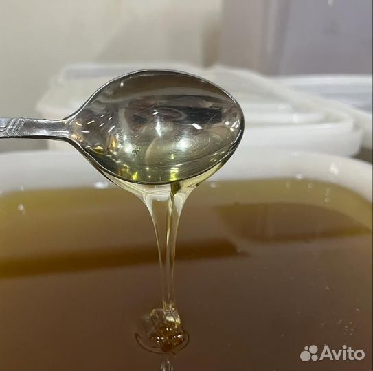 Светлое разнотравье свежий мед