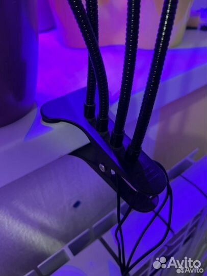 Фитолампа (для растений)