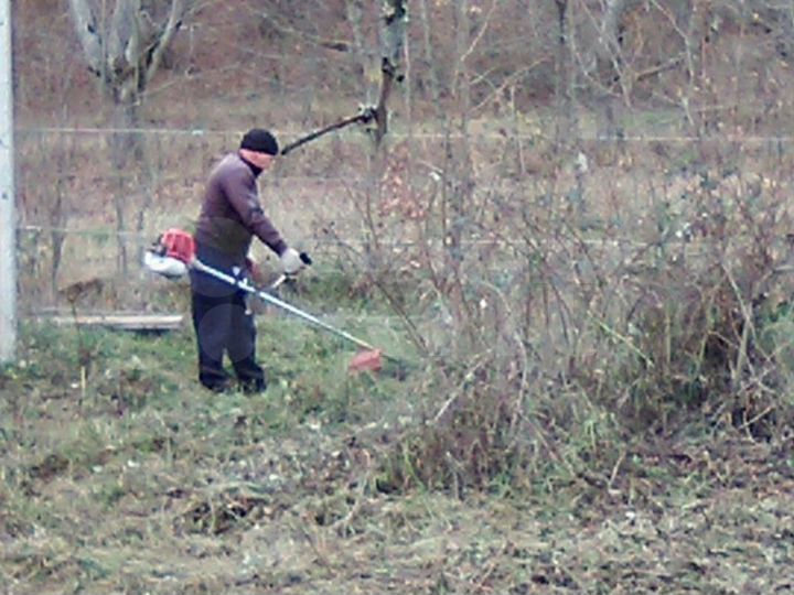 Участок 8 сот. (СНТ, ДНП)