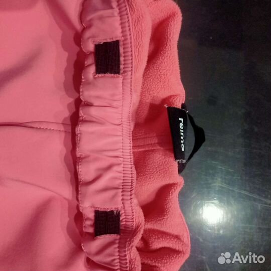 Штаны