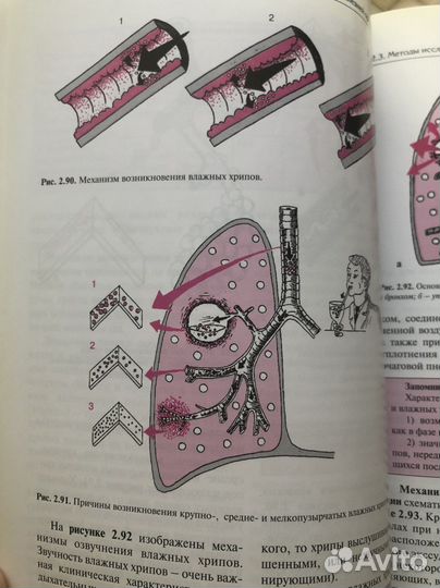 Пропедевтика