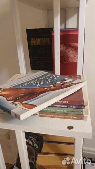 Книга Ключевые мышцы йоги Рэй Лонг