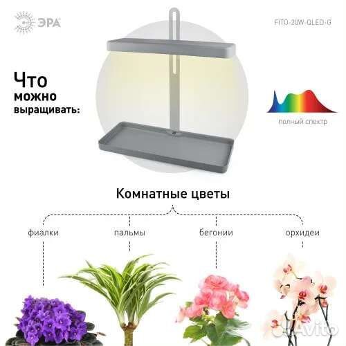 Фитолампа для растений новая эра fito-20W-qled-G