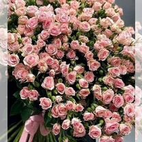 Свежие розы