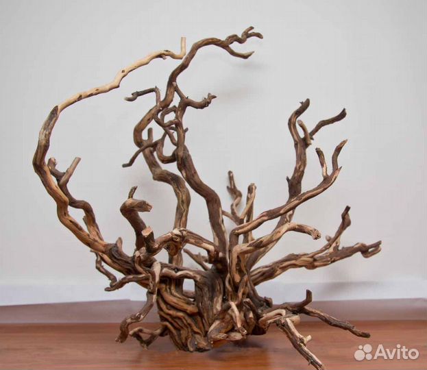 Крымские коряги