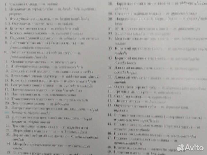 Атлас анатомии домашних животных, Осипов